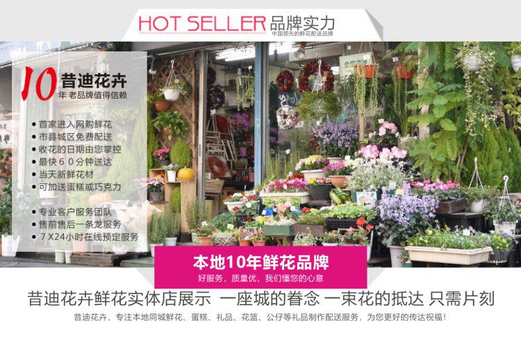圣诞C款-9朵玫瑰9费列罗